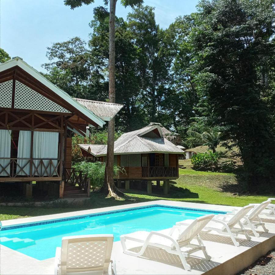 La Magia Bungalows Puerto Viejo de Talamanca ภายนอก รูปภาพ