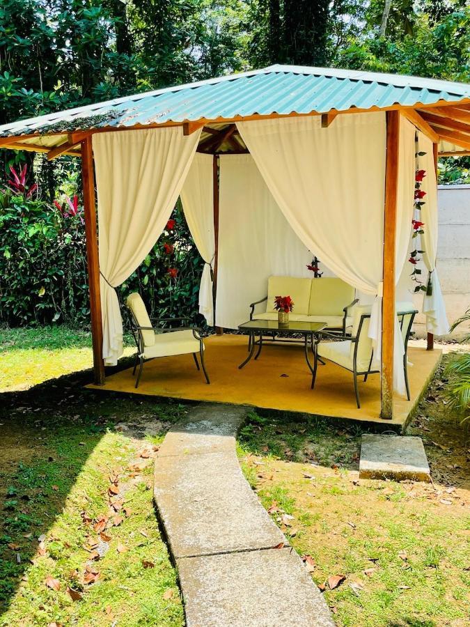 La Magia Bungalows Puerto Viejo de Talamanca ภายนอก รูปภาพ